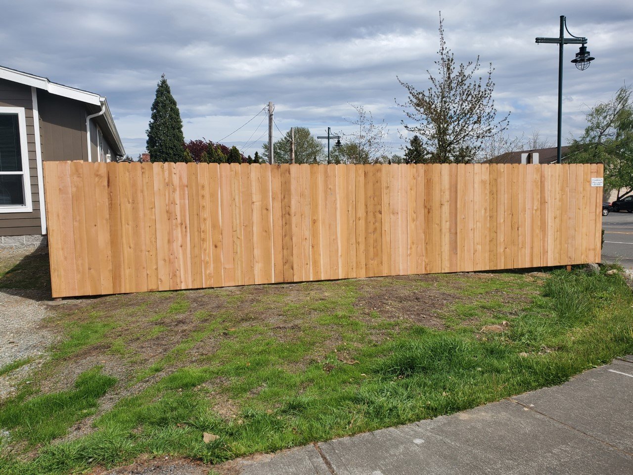 Cedar fencing project